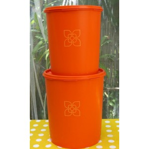 2 boites Tupperware Soleil orange