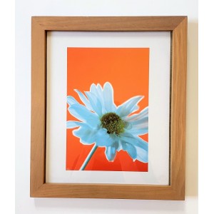 Cadre Blue Flower on orange