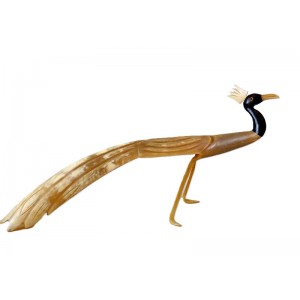 Oiseau Huppe corne de bovin...