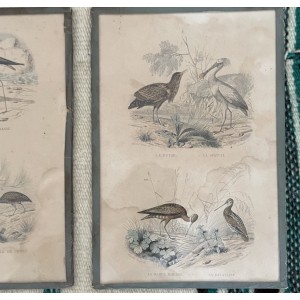 3 gravures Glamour en...